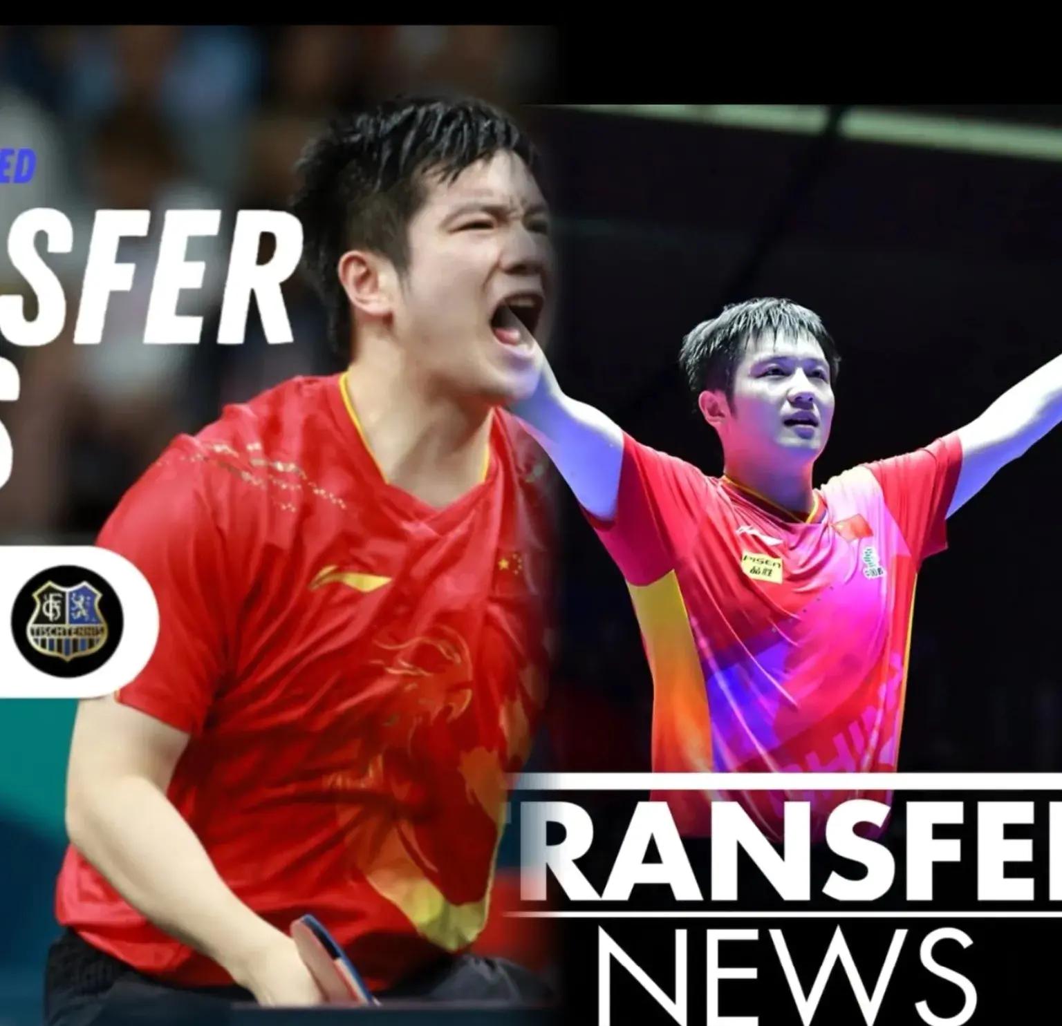 开云官网-波兰乒乓球队鏖战奥地利乒乓球队，樊振东完成帽子戏法的简单介绍