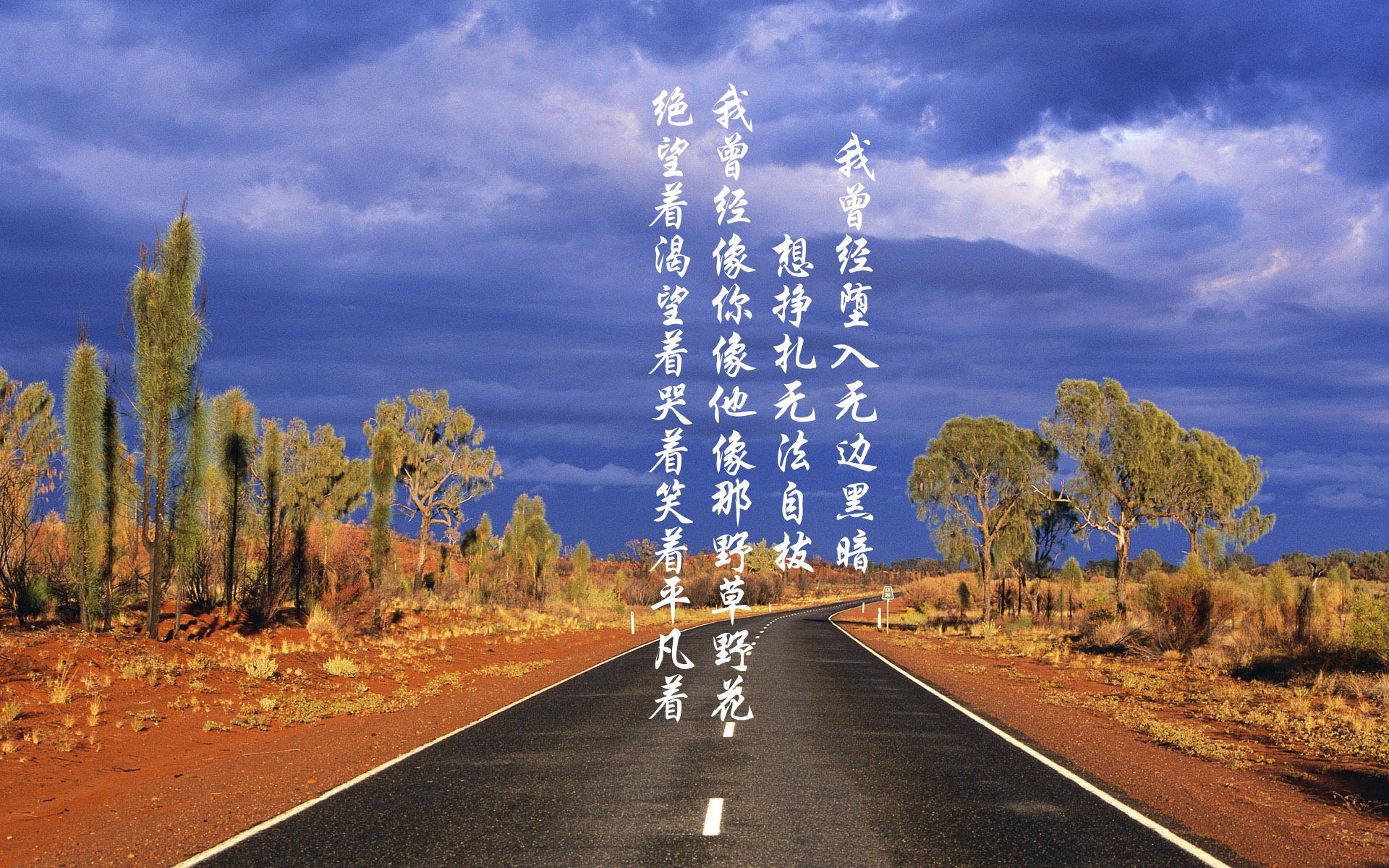 蓝衣军团重铸荣光,2026世界杯D组焦点战,卢卡库主宰舞台,意大利击碎挪威童话